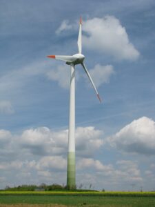 Wind Power and Wildlife: Finding a Harmonious Balance